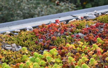 the cost of West Cornforth green roof installation