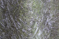 West Cornforth fibreglass roof work